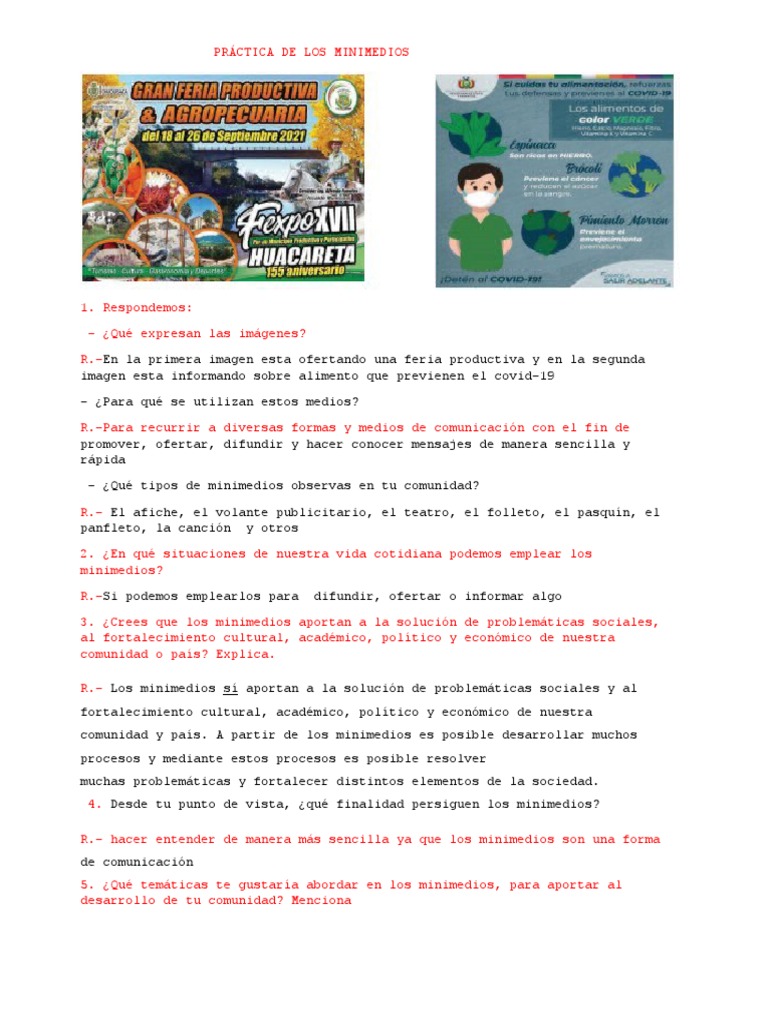 Práctica de Los Minimedios | PDF | Ciencias sociales | Estudios de ...