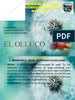 El Olluco PPT pptx333
