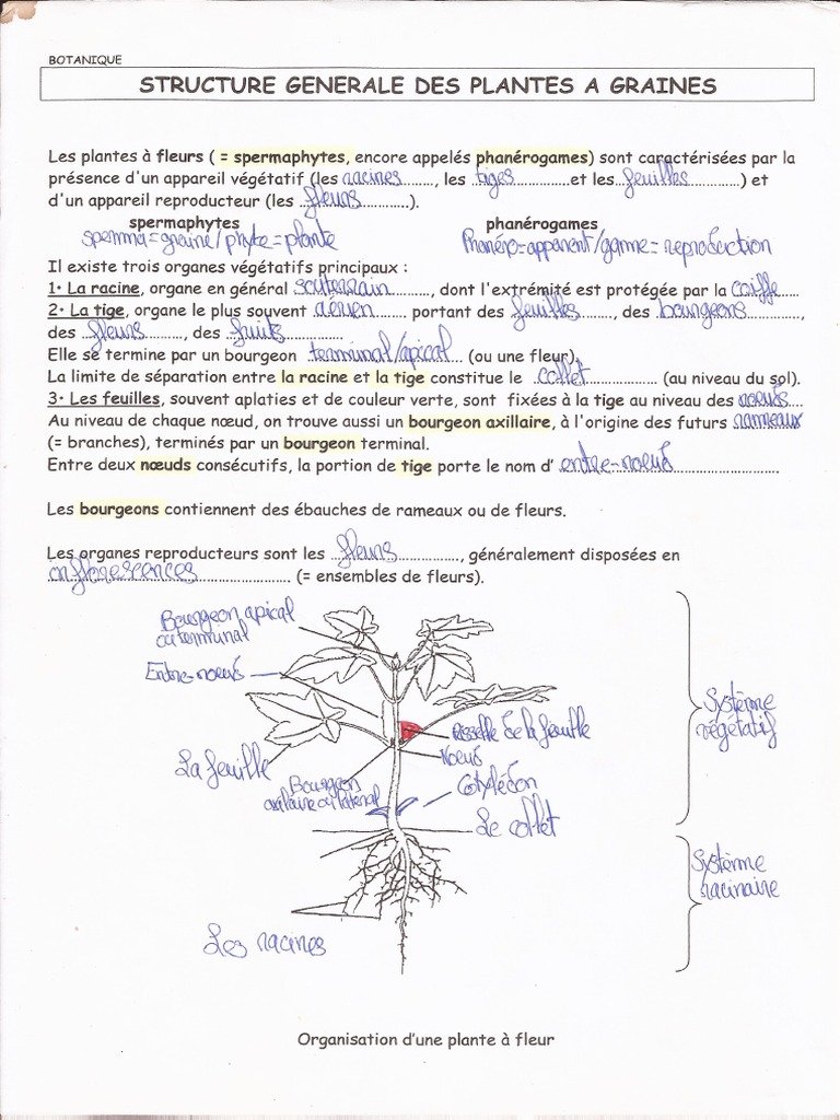 cours-botanique-cap-pdf