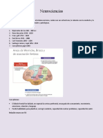 Neuro Mi Resumen