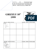 NR.02-CR Grizzly 10 99