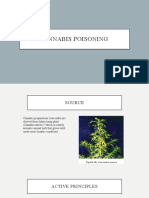 Cannabis Poisoning