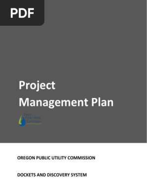 DD Project Plan