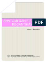 Anatomi & Fisiologi Kulit