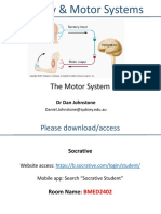 Sensory & Motor Systems