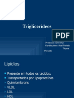 Triglicerídeo - PPT