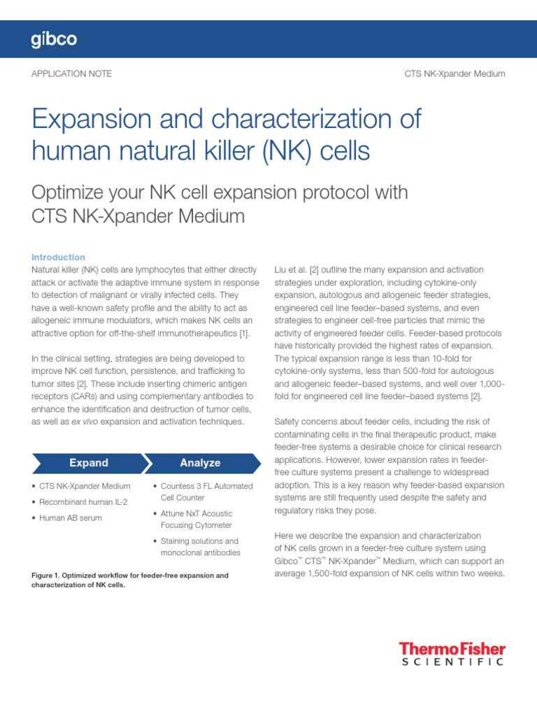 Expansion and Characterization of Human Natural Killer (NK) Cells | PDF ...