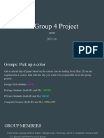 IB Group 4 Project Description