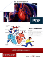 Sistema Cardiovascular I