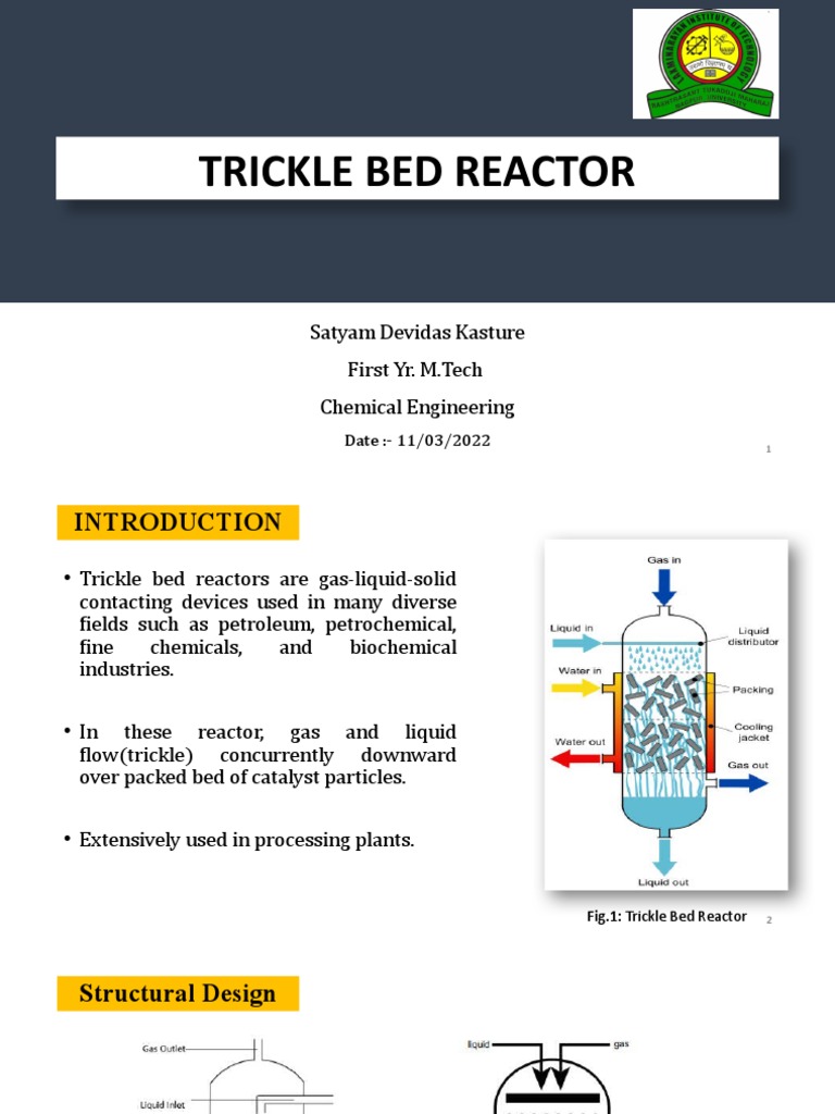 ARD Trickled Bed Reactor PRESENTATION | PDF | Chemical Reactor | Heat ...