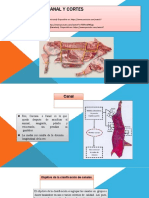 Evaluación de La Canal y Cortes