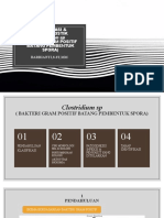 Clostridium ID