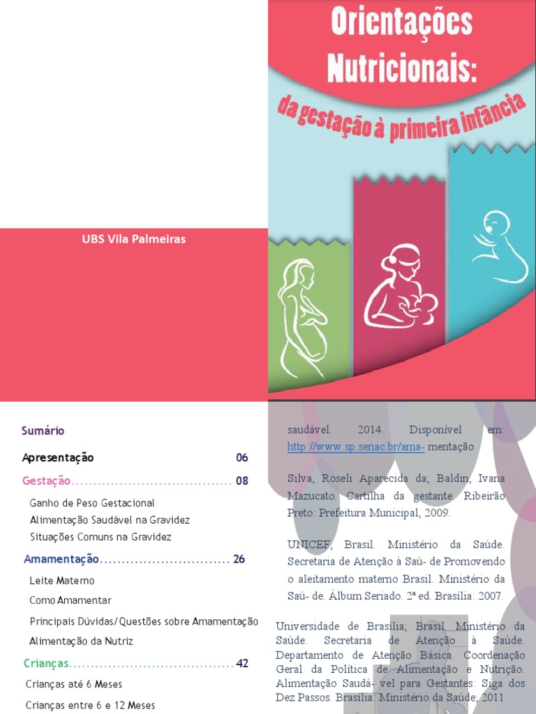 Gestante Cartilha PDF Amamentação Gravidez