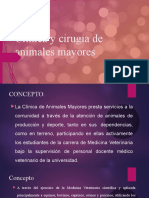 Clinica y Cirugia de Animales Mayores
