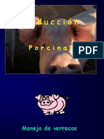 Manejo de Cerdos 1