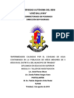 Enfermedades Causadas Por El Consumo de Agua Contaminada en La Poblacion de Niños Menores de 5 Años en El Distrito 4 Del Municipio de Trinidad