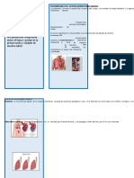 Triptico Enfermedades Del Sistema Respiratorio