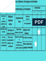 Matriz de Metas, Objetivos, Estrategias y Actividades