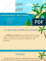 Acidificarea Oceanelor