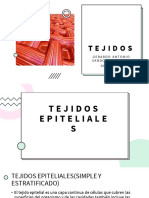 Proyecto de Tejidos