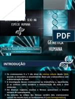 Aula 8 - Determinação Do Sexo Na Espécie Humana