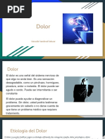 Alicia Fredusa | PDF | Mnemotécnico | Dolor
