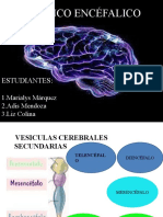 Tronco Encéfalico: Estudiantes