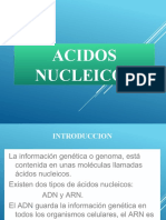 Biomoleculas Acidos Nucleicos
