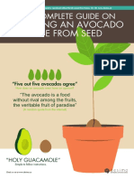 20160502+Avocado+E Book+by+Desima+Dot+Co