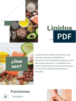 Lipidos Expo