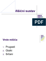 3.1 Misicni Sustav