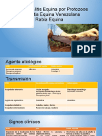 Encefalomielitis, Rabia y EPM