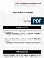 Neisseria Gonorrhoeae: Características y Estructura Antigénica