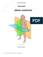 Anatomia Tulelokonyv 0 Altalanos Anatomia Omyxbu