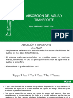 Absorcion de Agua