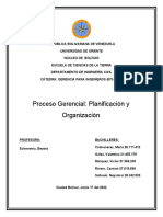 Proceso Gerencial Plainificacion y Organizacion-1