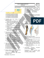 2021 Soal Latihan Evolusi