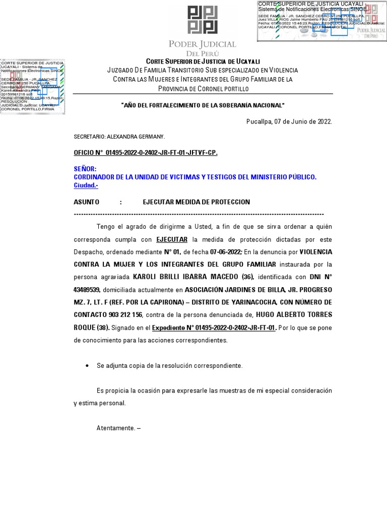 Medida de Protección por Violencia Familiar | PDF | Justicia | Crimen y ...