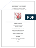 Enfermedades Degenerativas Causadas Por Deficiencia de Neurotransmisores - Ensayo Final