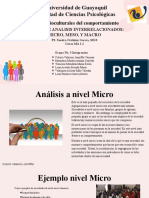 Niveles de Analisis Interrelacionados (Micro, Meso, y Macro)