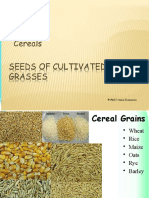 Seeds of Cultivated Grasses