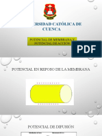 Potencial de Membrana y Potencial D Accion-2