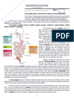 Digestive System: Week 1