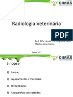 Aula 01 Radiologia