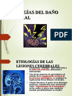 Etiologias Del Dano Cerebral