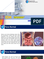 Flora Normal by Presentation MR Taufiq Teach