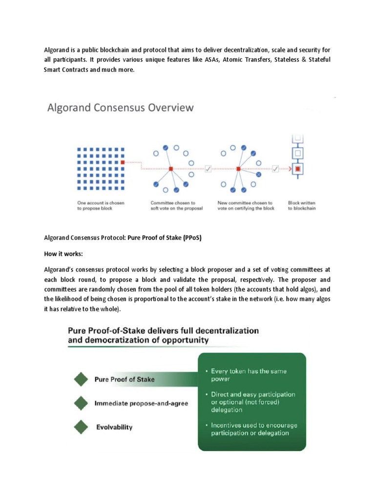 Algorand Developer Guide | PDF | Computer Science | Computing
