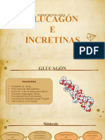 Exposición Glucagon e Incretinas