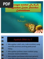Download Pemotongan Molekul DNA Menggunakan Enzim Restriksi Endonuklease by Luthfi  fharuq Al Fairuz SN58063335 doc pdf