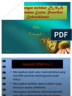 Pemotongan Molekul DNA Menggunakan Enzim Restriksi Endonuklease